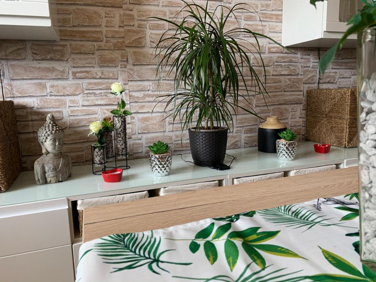 Apartman Simon